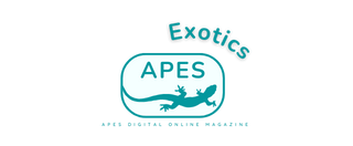 APES Exotics - Digital Magazine