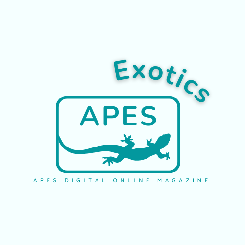 APES Exotics - Digital Magazine